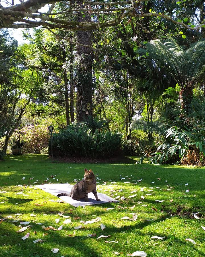 Casa Goldoni Gramado 4 Quartos Экстерьер фото